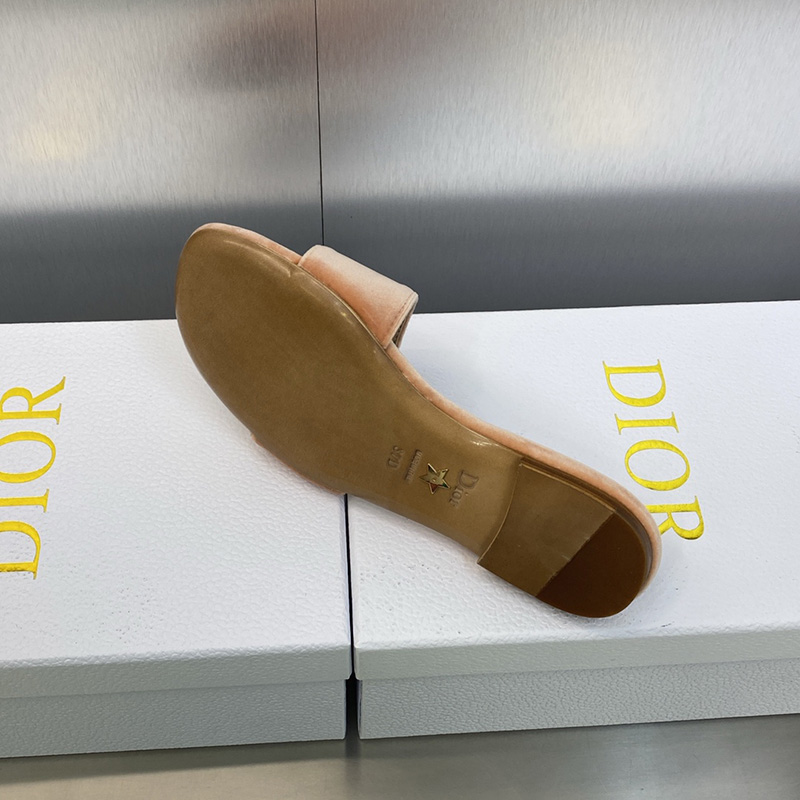 C'est Dior Slides Women Velvet Brown