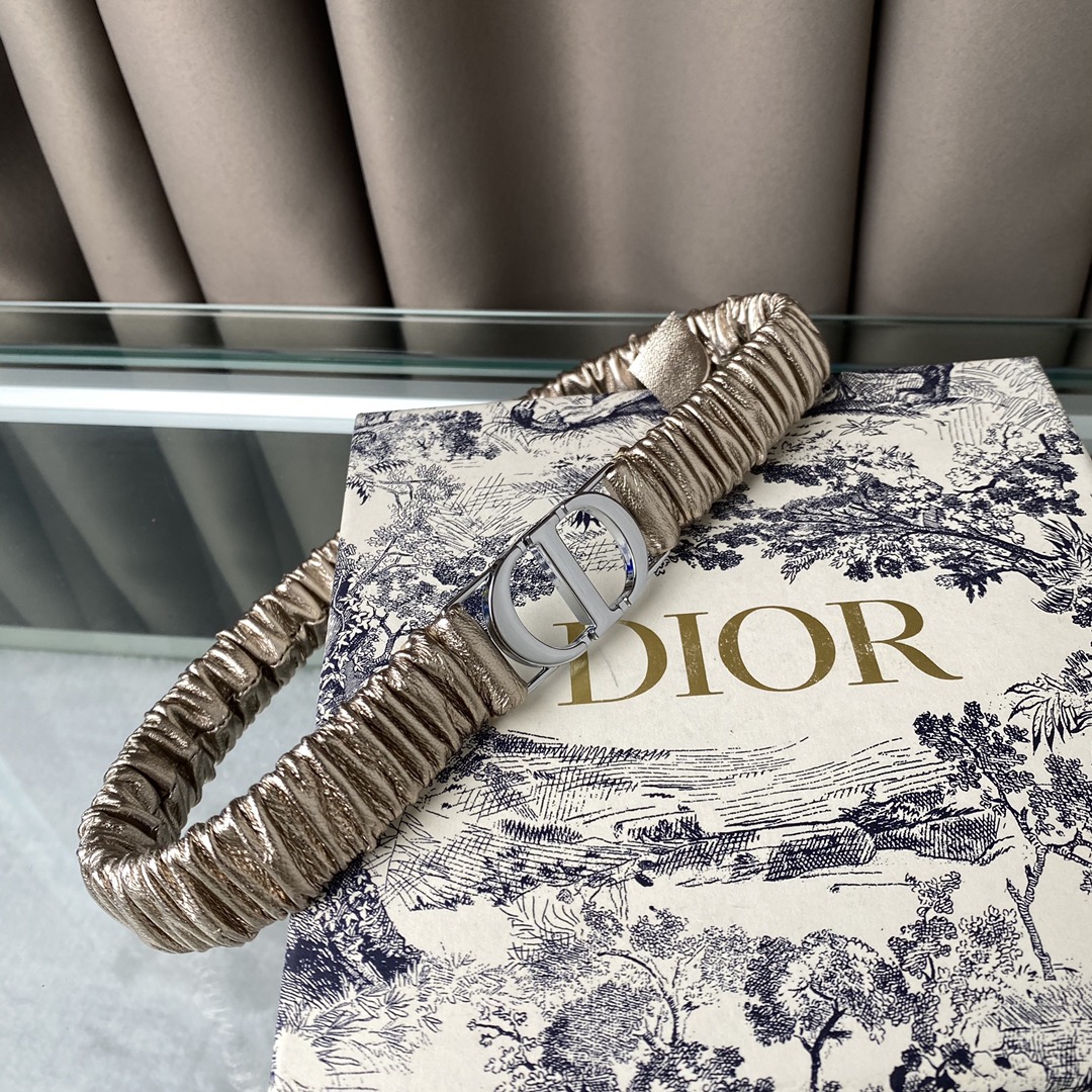 Dior 30 Montaigne Stretch Belt Pleated Lambskin Gold/Silver