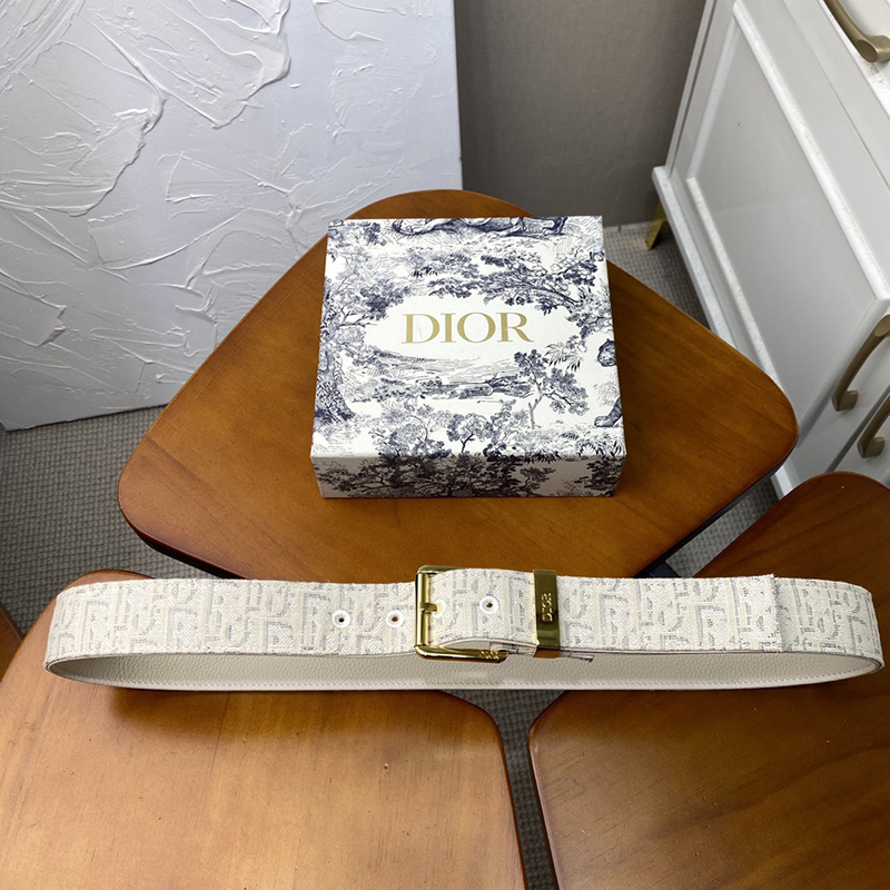 Dior Belt Oblique Motif Canvas White/Gold