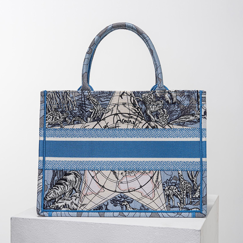 Dior Book Tote Around the World Motif Canvas Light Blue