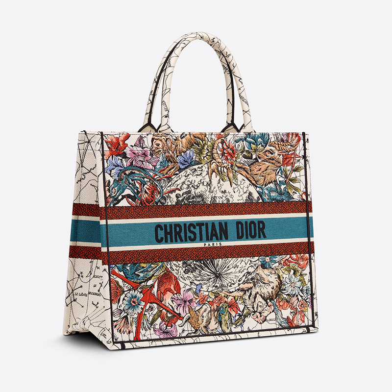 Dior Book Tote Constellation Motif Canvas White