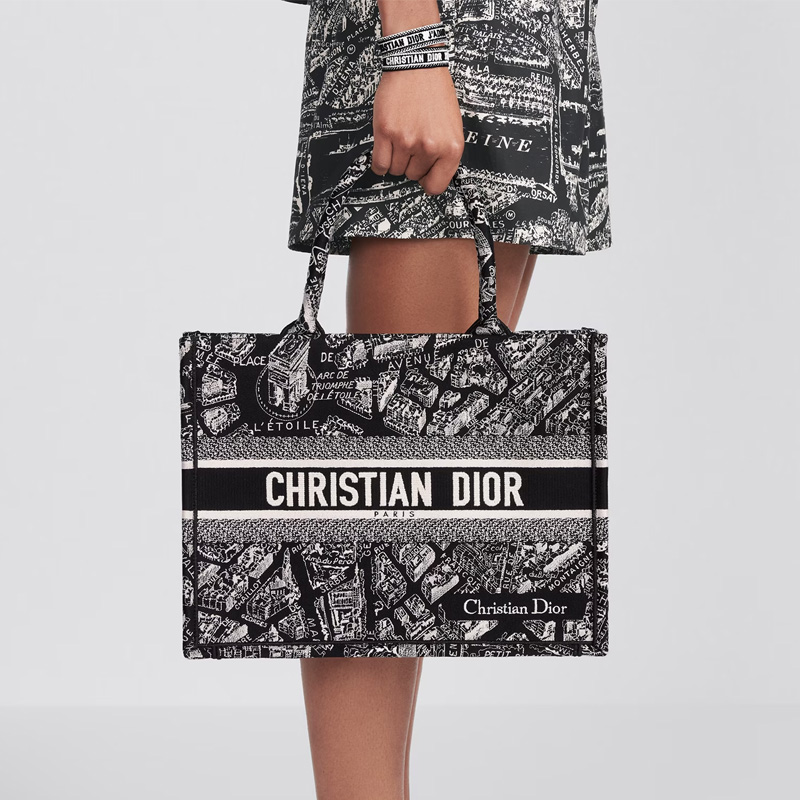 Dior Book Tote Plan de Paris Motif Canvas Black