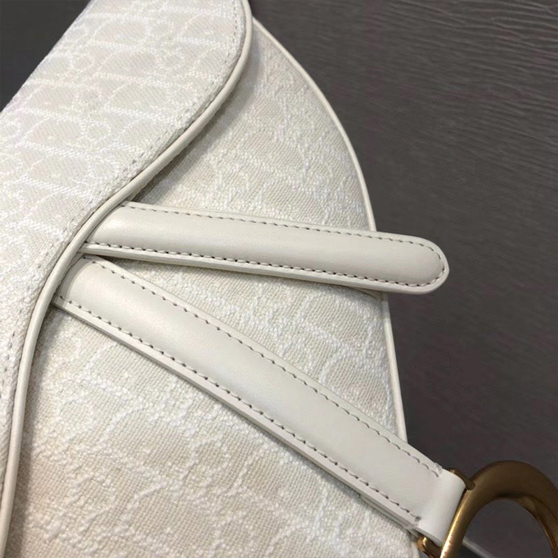 Dior Saddle Bag Oblique Motif Canvas White