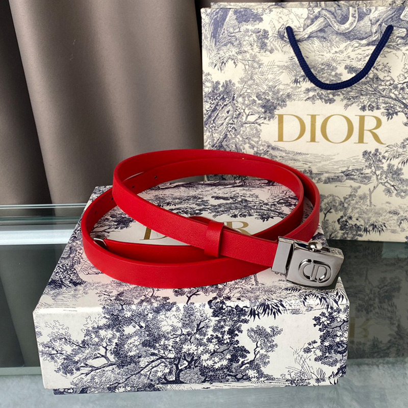 Diorpolytechnique Belt Smooth Calfskin Red/Silver