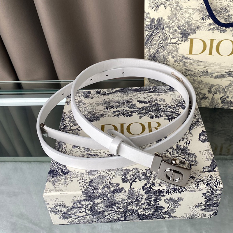 Diorpolytechnique Belt Smooth Calfskin White/Silver